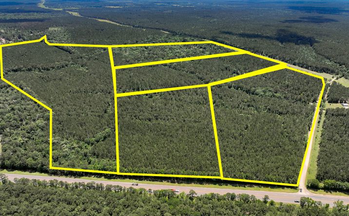 Pictures of Land property located at Highway 190, Oakhurst, USA 77359 for sales - image #1