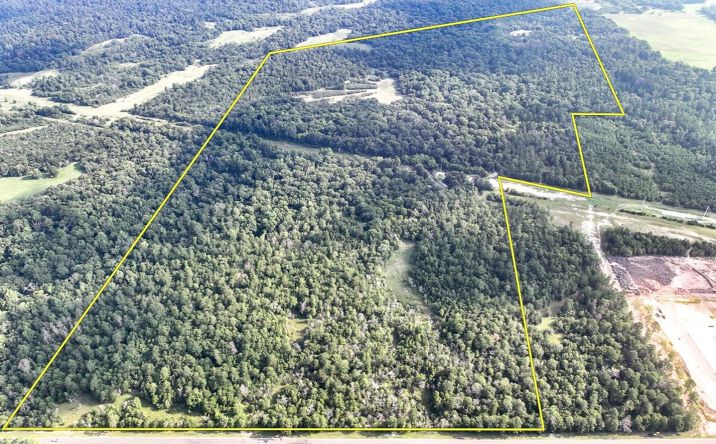 Pictures of Land property located at FM 2989, Huntsville, TX 77320 for sales - image #1