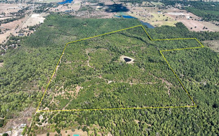 Pictures of Land property located at Murray Lane, Huntsville, TX 77320 for sales - image #1