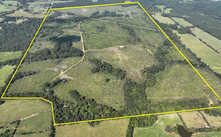 Pictures of Land property located at CR 4916, Timpson, TX 75975 for sales - image #1