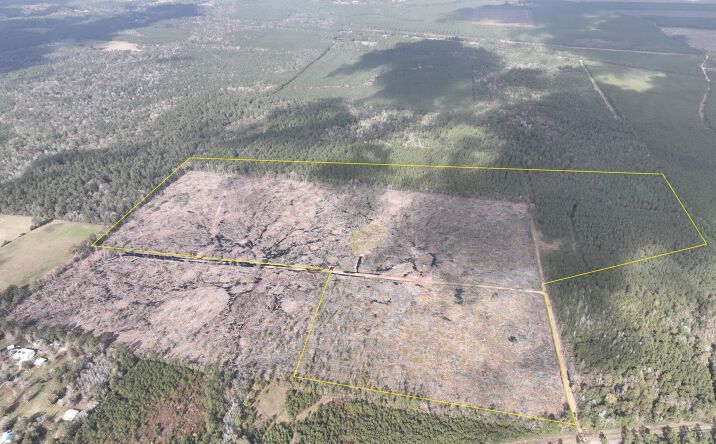 Pictures of Land property located at Old Honey Island Road, Honey Island, TX 77625 for sales - image #1