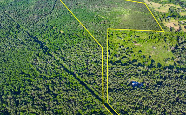 Pictures of Land property located at FM 230, Lovelady, TX 75851 for sales - image #1
