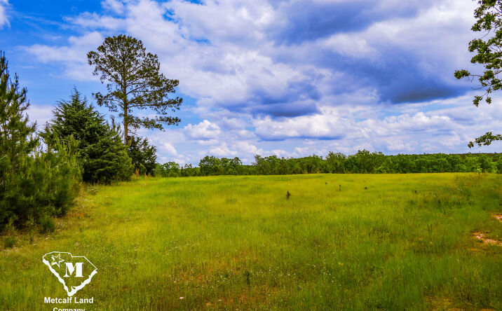Pictures of Land property located at Battlefield Road, Enoree, SC 29335 for sales - image #1