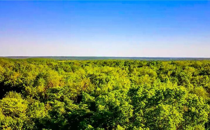 Pictures of Land, Special Purpose property located at 00000 E 1825 Terrace, La Cygne, KS 66040 for sales - image #1