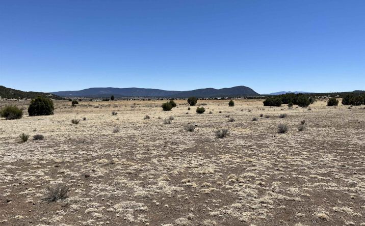 Pictures of Land property located at Lot 23 Lost Cabin Subdivision, Reserve, NM 87820 for sales - image #1