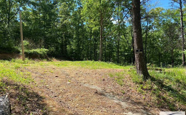 Pictures of Land property located at 31 Catfish Dr, Big Sandy, TN 38221 for sales - image #1