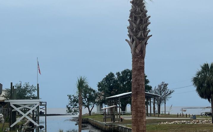 Pictures of Land property located at 68 W 4th Ave, Horseshoe Beach, FL 32648 for sales - image #1