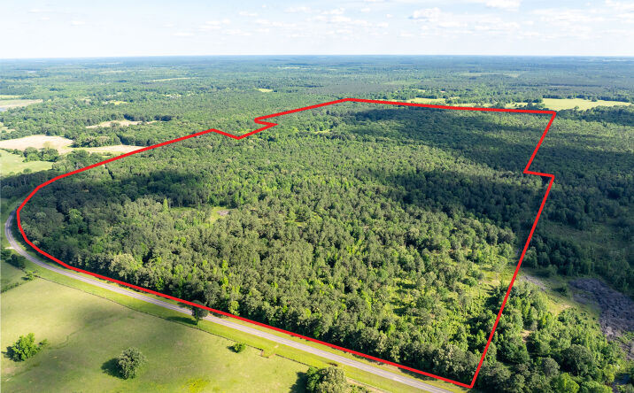 Pictures of Land, Mixed Use, Hospitality property located at 17631 Farm Rd 1159, Clarksville, TX 75426 for sales - image #1