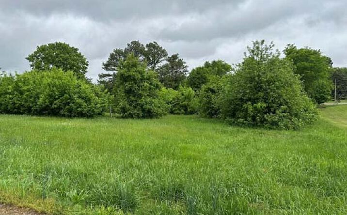 Pictures of Land property located at 0 Cedar St, Trenton, KY 42286 for sales - image #1