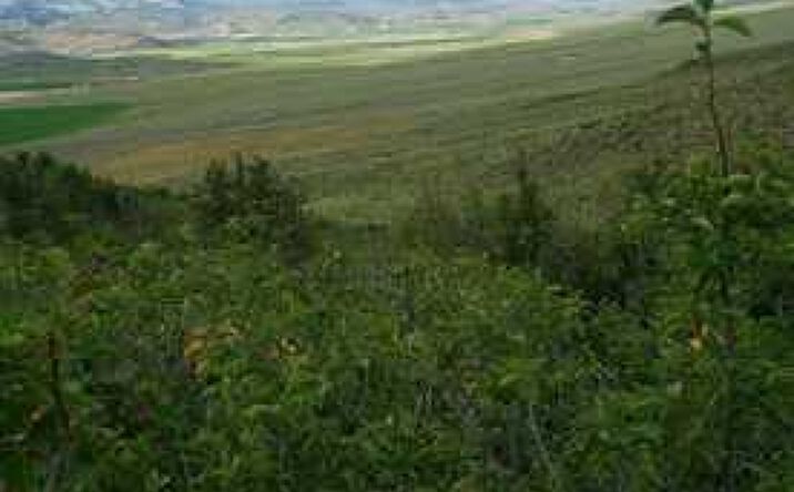 Pictures of Land property located at 120 N Wy Statle Line 89, Cokeville, WY 83114 for sales - image #1