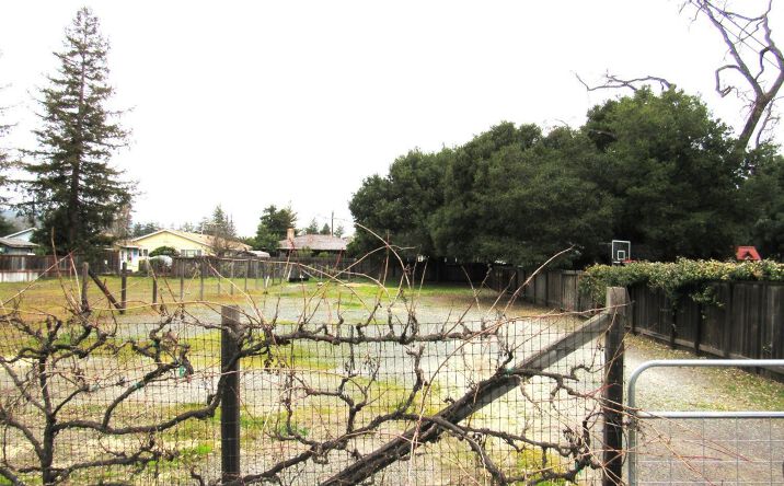 Pictures of Land property located at Verano Ave, Sonoma, CA 95476 for sales - image #1
