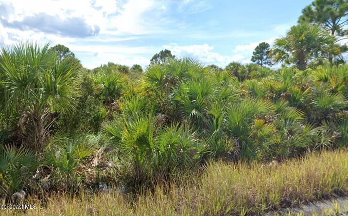 Pictures of Land property located at 982 Astilbe Street SW, Palm Bay, FL 32908 for sales - image #1