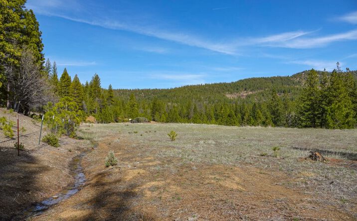 Pictures of Land property located at 6409 Kangaroo Creek Rd, Gazelle, CA 96034 for sales - image #1