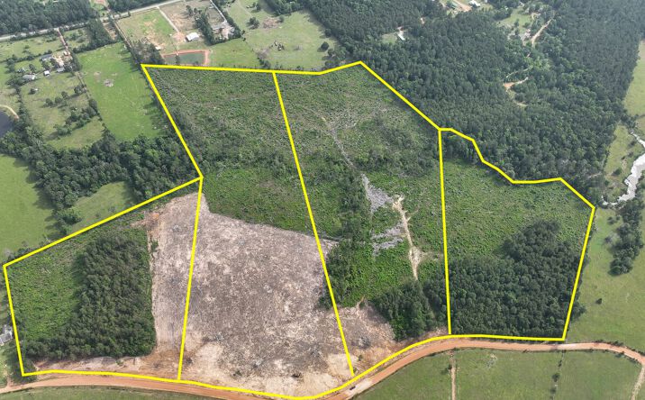 Pictures of Land property located at Old Salem Church Road, Willis, TX 77318 for sales - image #1