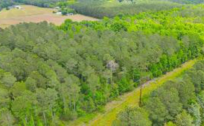 Pictures of Land property located at 0 Holley Ferry Road, Batesburg-Leesville, SC 29006 for sales - image #1