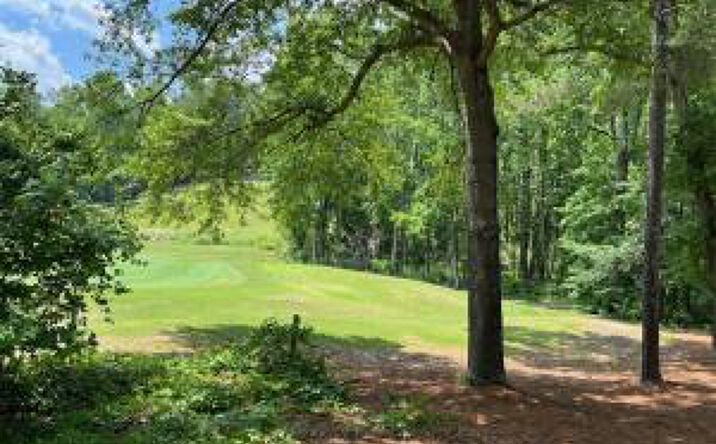 Pictures of Land property located at 60 Shagbark Court, Aiken, SC 29803 for sales - image #1