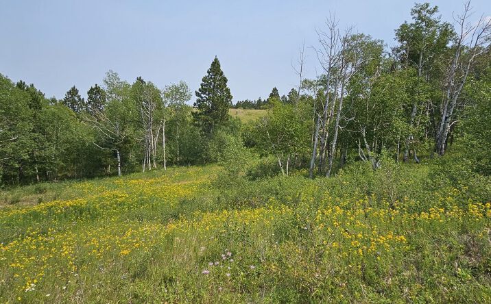 Pictures of Land property located at 20933 Majestic Hts Rd, Sturgis, SD 57785 for sales - image #1