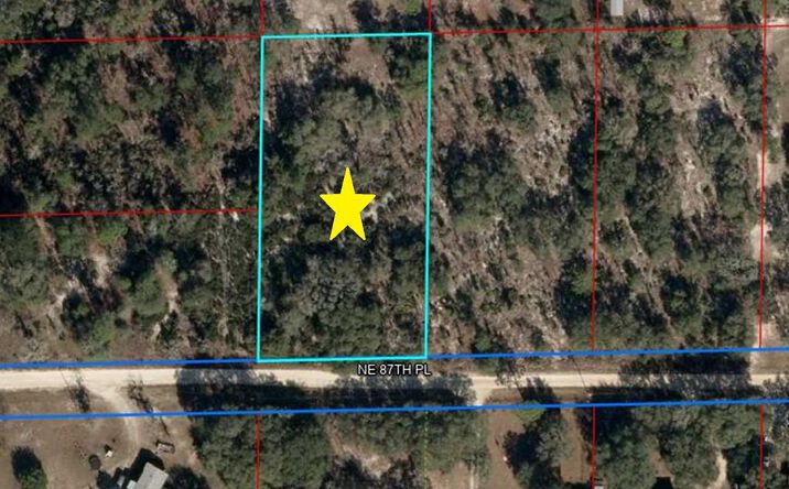 Pictures of Land property located at Lot 115 NE 87th Pl, Bronson, FL 32621 for sales - image #1