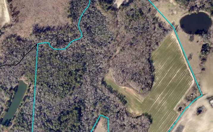Pictures of Land property located at Two Chop Rd, Statesboro, GA 30461 for sales - image #1