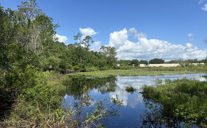 Pictures of Land property located at 28651 Tupper Rd, Wesley Chapel, FL 33545 for sales - image #1