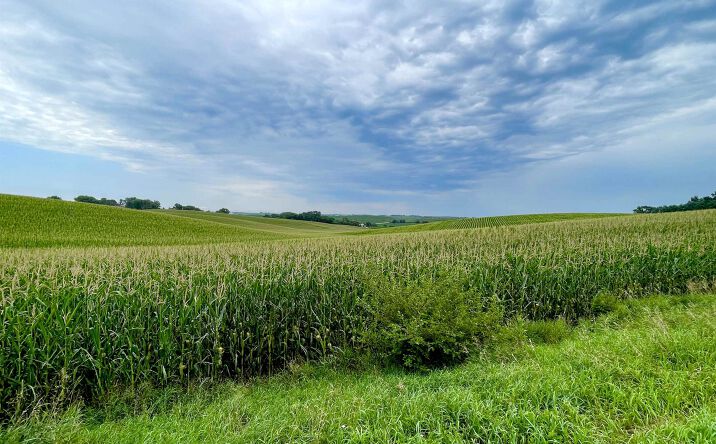 Pictures of Land property located at TBD Old Hwy 141, Sergeant Bluff, IA 51054 for sales - image #1