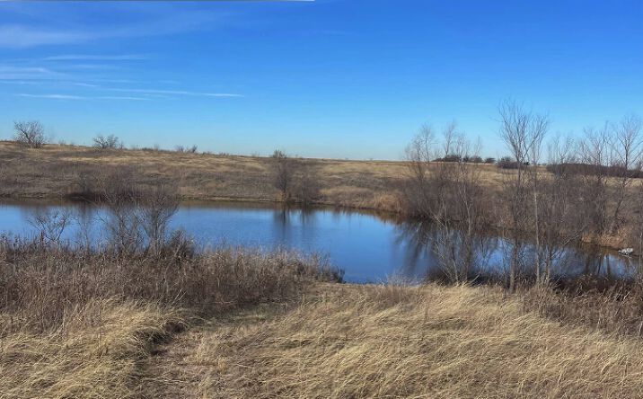 Pictures of Land property located at TBD FM 85, Ennis, TX 75119 for sales - image #1