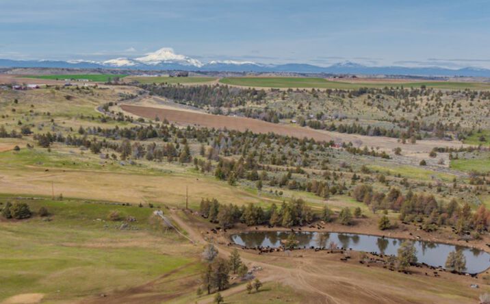 Pictures of Land, Special Purpose property located at Hwy 97, Madras, OR 97741 for sales - image #1
