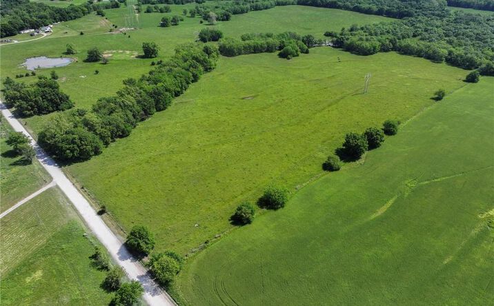 Pictures of Land property located at TBD SW 1067 County Road, Butler, MO 64730 for sales - image #1
