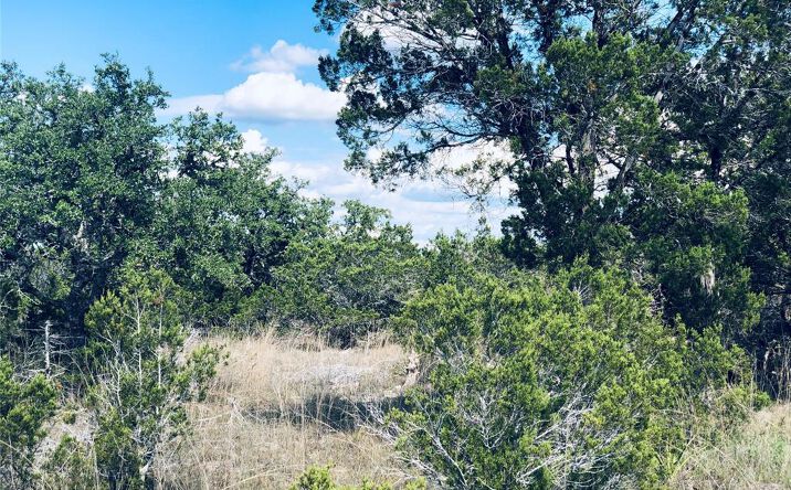 Pictures of Land property located at 1020 Cliff Cir Dr, Spring Branch, TX 78070 for sales - image #1