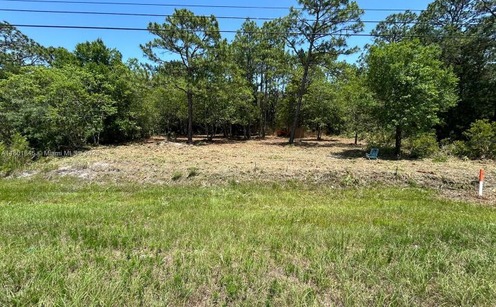 Pictures of Special Purpose property located at 11287 S Suncoast BLVD, Other City - In The State Of Florida, FL 34446 for sales - image #1