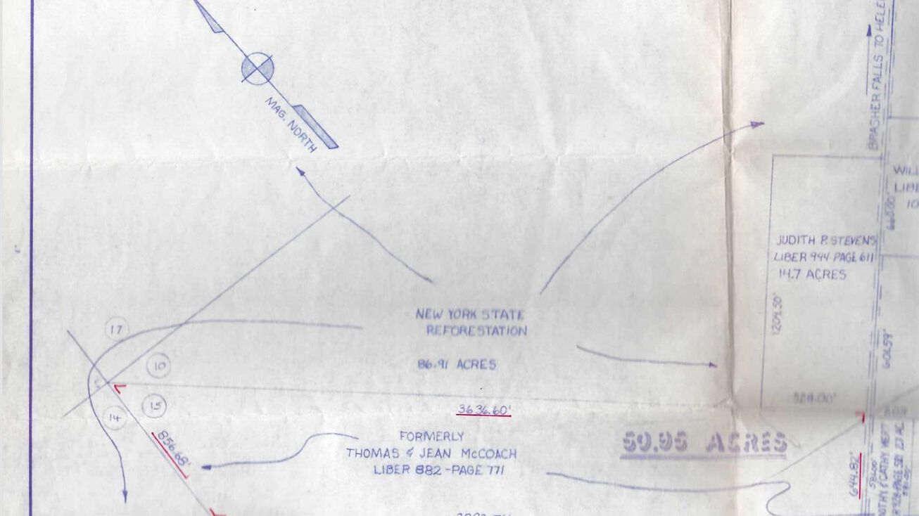 Pictures of Land property located at 322 County Road 53 Road, Out NJ, NY 13613 for sales - image #1