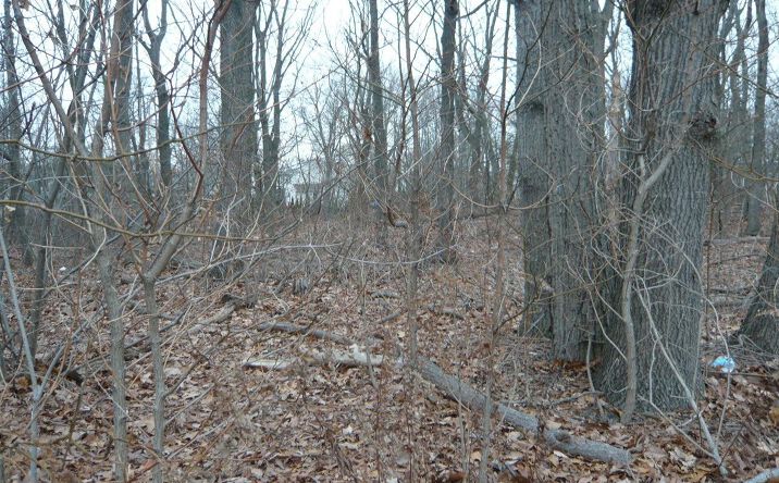 Pictures of Land property located at 0-0 Bordentown Avenue, Sayreville, NJ 08859 for sales - image #1