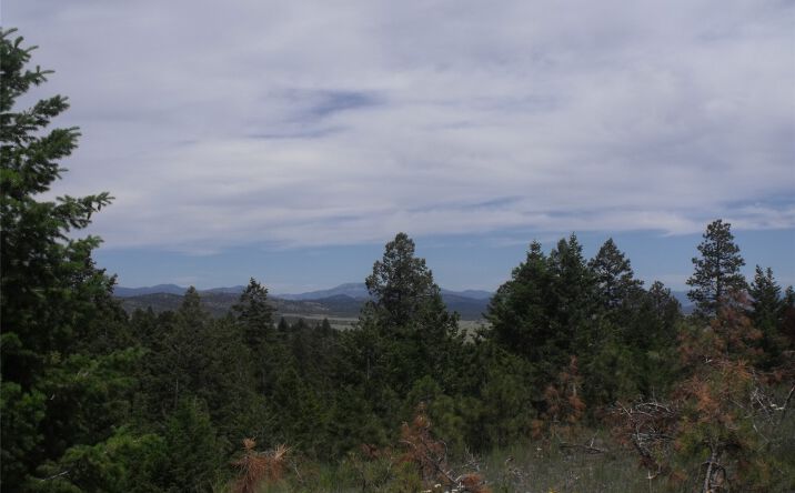 Pictures of Land property located at TBD Hidden Springs Drive, Helena, MT 59602 for sales - image #1