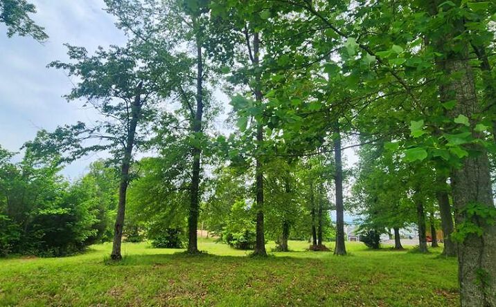 Pictures of Land, Multifamily property located at Overlook Ridge, Big Sandy, TN 38221 for sales - image #1