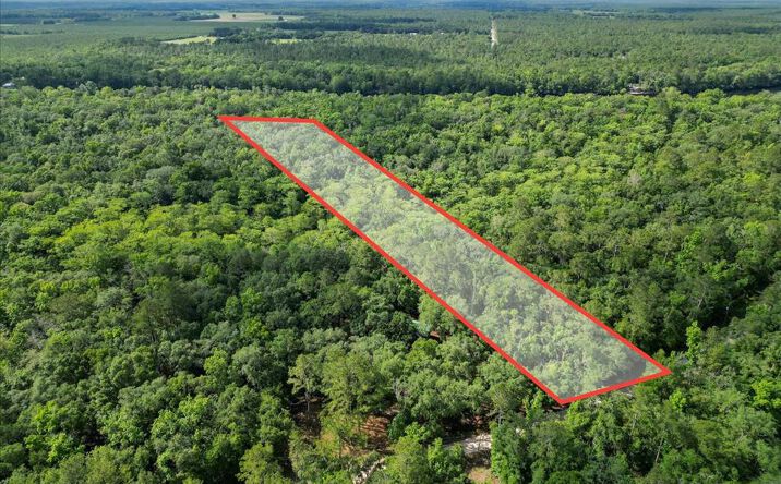 Pictures of Land property located at Earl Blvd, Branford, FL 32008 for sales - image #1