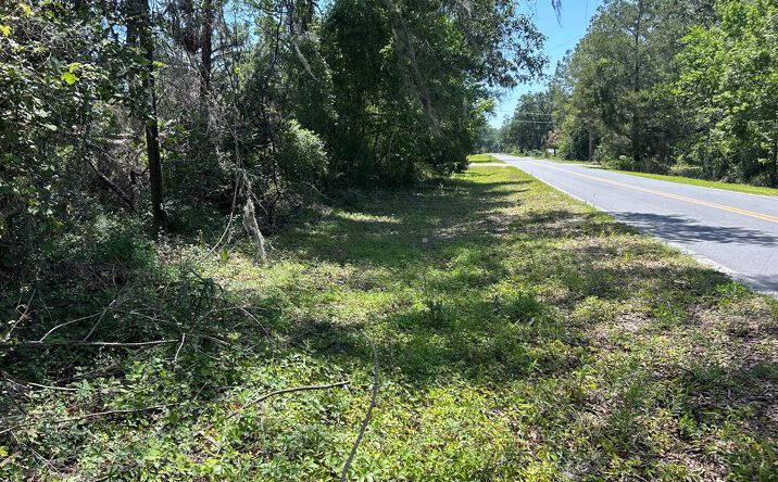 Pictures of Land property located at 00 NE 188th Ave, Old Town, FL 32680 for sales - image #1