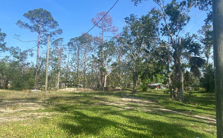 Pictures of Land property located at 0 Main St, Steinhatchee, FL 32359 for sales - image #1