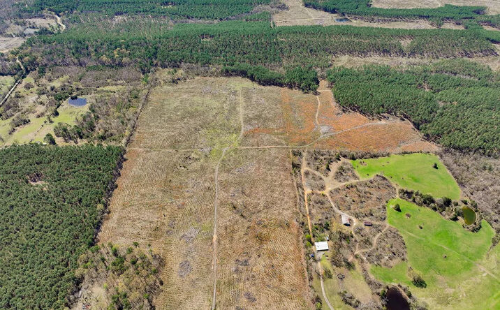 Pictures of Land property located at 1004 Tarpon Rd, Watson, OK 74963 for sales - image #1