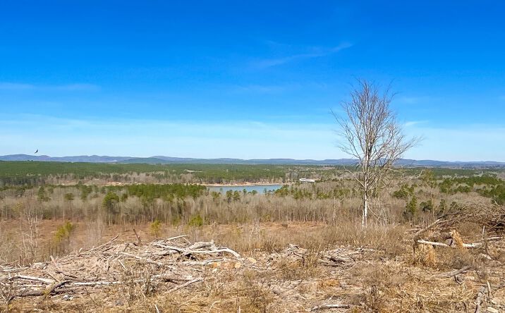 Pictures of Land property located at CR 658, Kirby, AR 71950 for sales - image #1