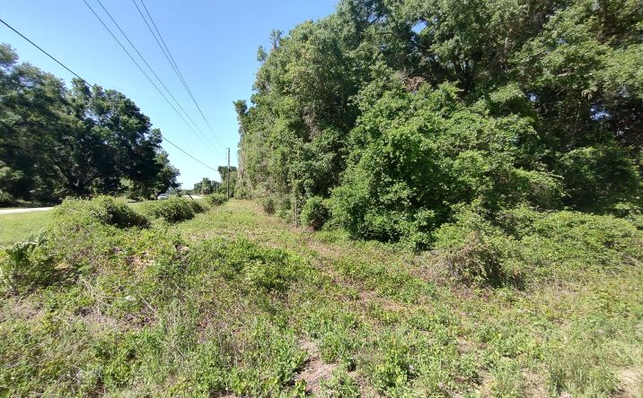 Pictures of Land property located at 101 Hudson Drive, Satsuma, FL 32189 for sales - image #1
