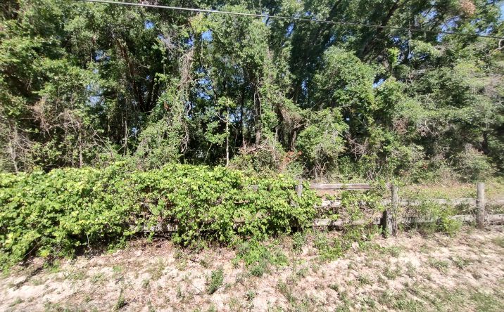 Pictures of Land property located at 235 Co Rd 309, Satsuma, FL 32189 for sales - image #1