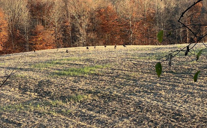 Pictures of Land property located at 3385 Marietta Road SW, Junction City, OH 43748 for sales - image #1