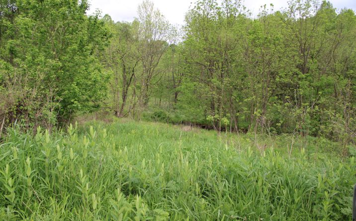 Pictures of Land property located at 0 Township Rd 4, Frazeysburg, OH 43822 for sales - image #1