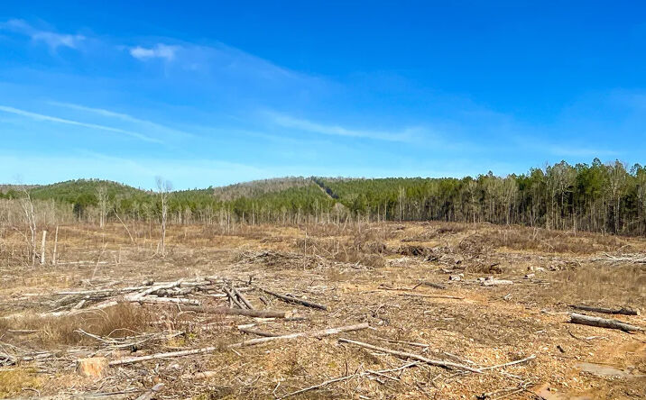 Pictures of Land property located at Forest Road, Kirby, AR 71950 for sales - image #1