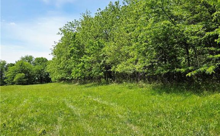 Pictures of Land, Multifamily property located at Lot 17 Deer View Estates Road, Holden, MO 64040 for sales - image #1