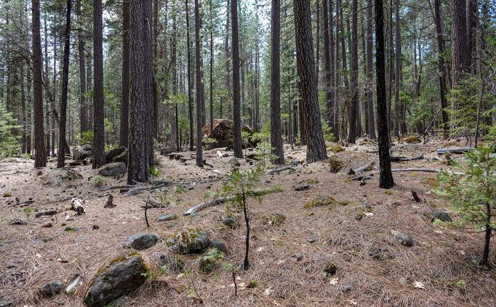 Pictures of Land property located at 9936 Sniktaw Ln, Fort Jones, CA 96032 for sales - image #1