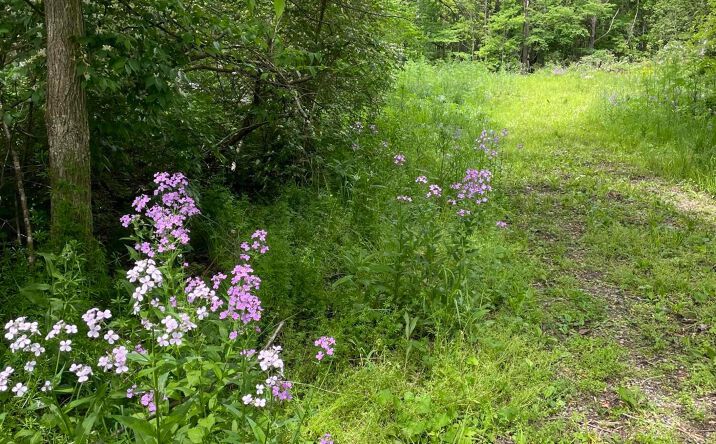 Pictures of Land property located at 74 W State Street, Milford Center, OH 43045 for sales - image #1