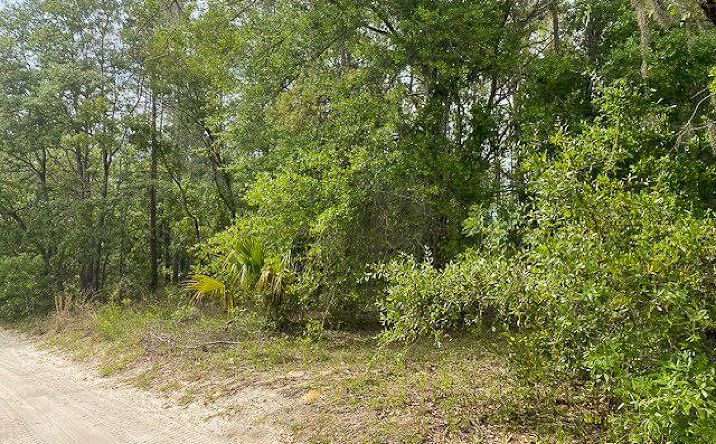 Pictures of Land property located at 67th St, Bronson, FL 32625 for sales - image #1