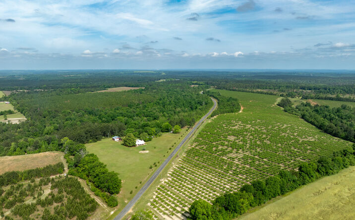 Pictures of Land, Mixed Use property located at 160 Underwood Rd, Reynolds, GA 31076 for sales - image #1