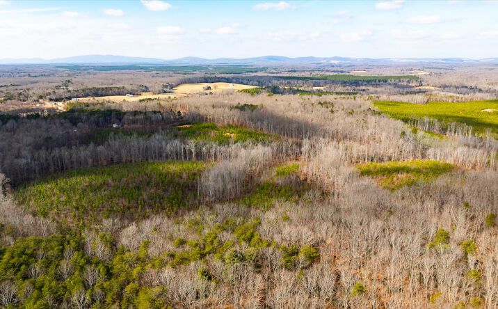 Pictures of Land property located at 0 Vawter Corner Rd, Louisa, VA 23093 for sales - image #1